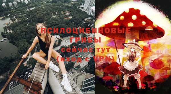 а пвп мука Нея