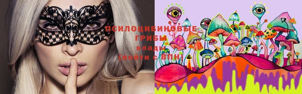 MDMA Новозыбков