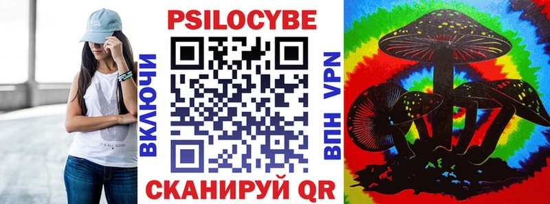 Галлюциногенные грибы Psilocybe  Купить закладки  Ангарск 